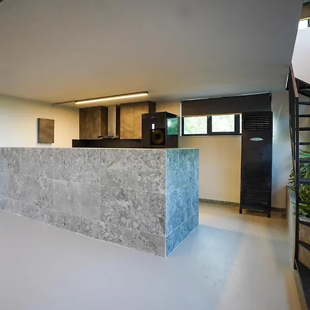 Apartment Industrial Loft