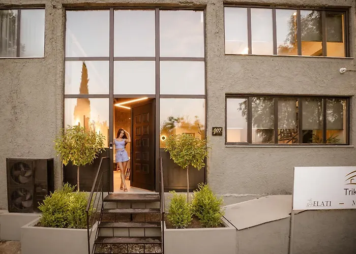 Industrial Loft Apartment Trikala (Thessaly)