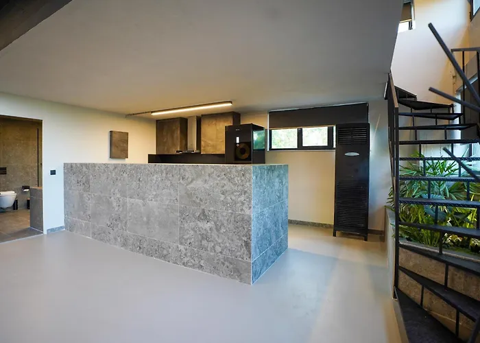 Apartment Industrial Loft